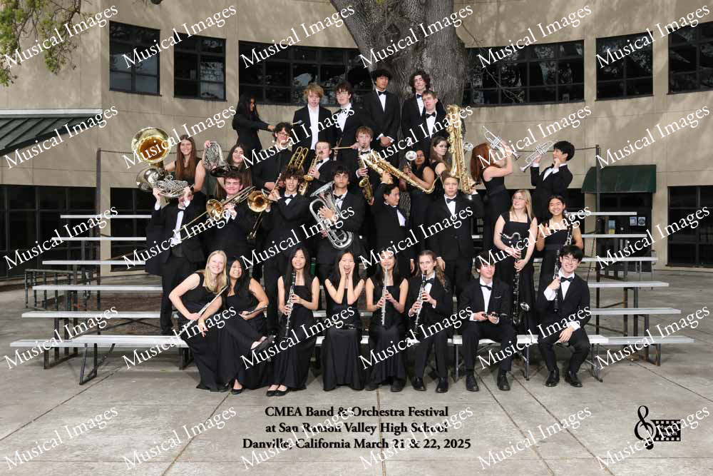 Musical Images